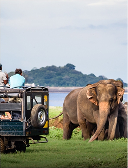 Yala National Park