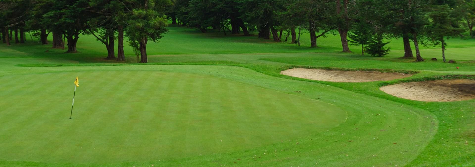 A view of Green grass and woods on a golf field