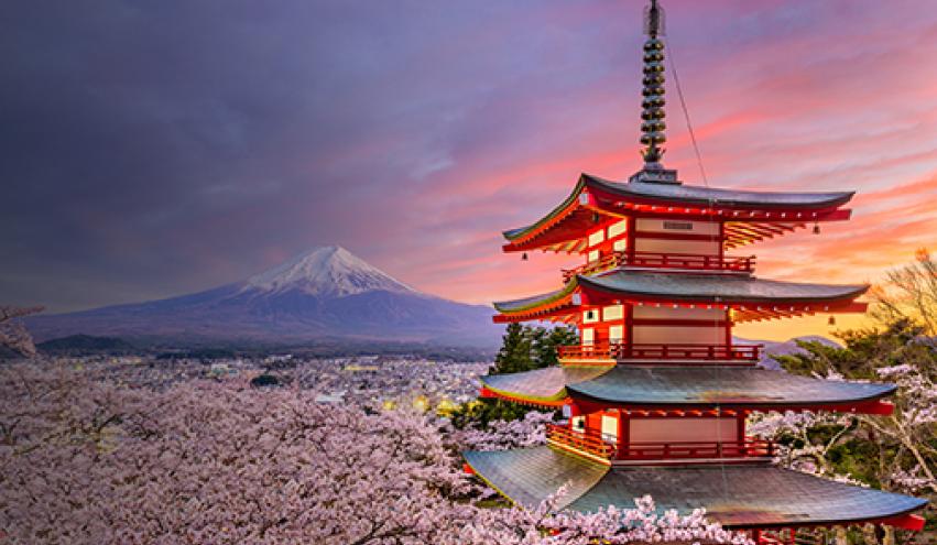 japan tour named Cherry Blossom Tour 