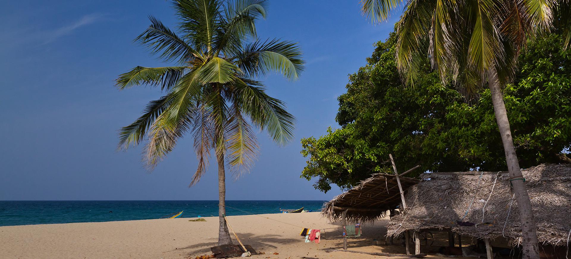 Beautiful beach view with coconut tree 