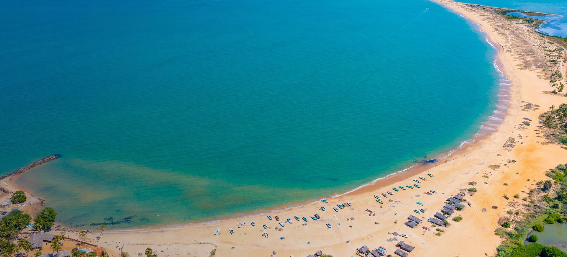 Aerial drone view of kalpitiya beach with palm trees