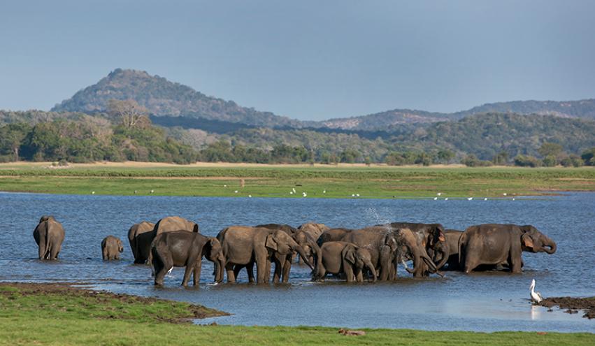 wildlife park image