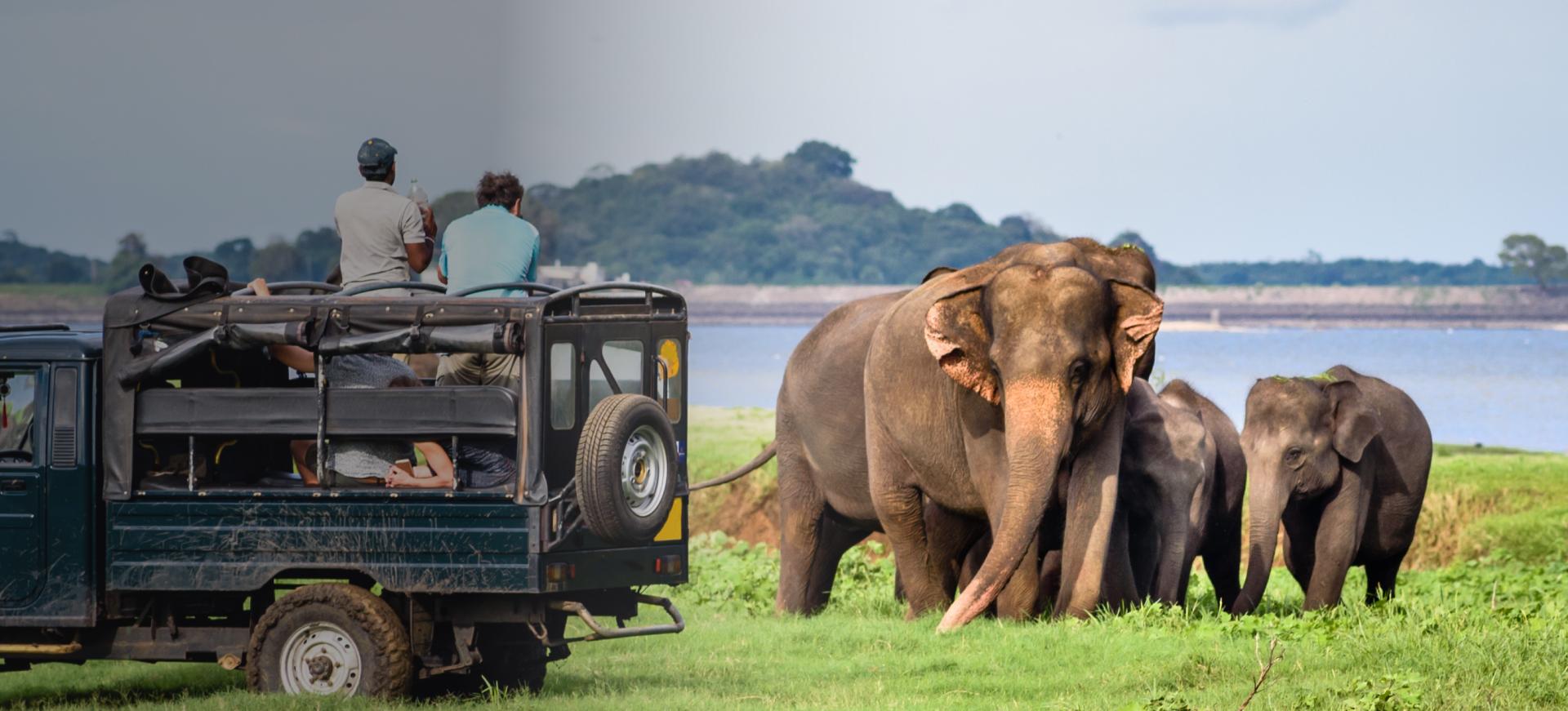 sri lanka image